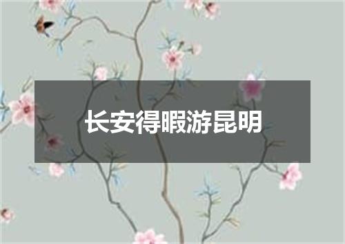 长安得暇游昆明