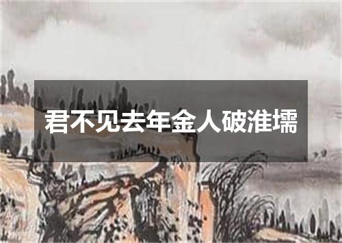 君不见去年金人破淮壖