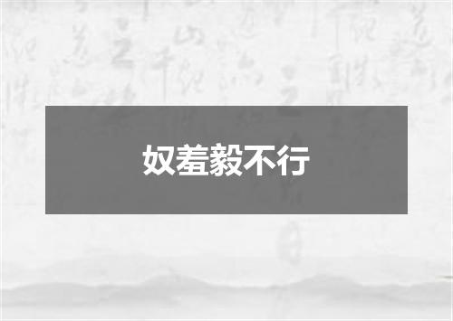 奴羞毅不行