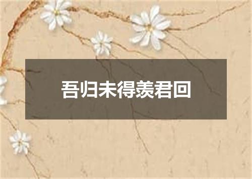 吾归未得羡君回