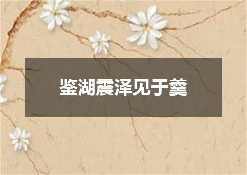 鉴湖震泽见于羹