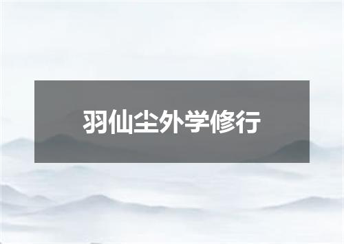 羽仙尘外学修行