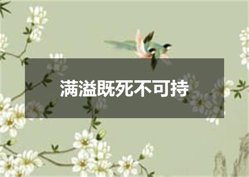 满溢既死不可持