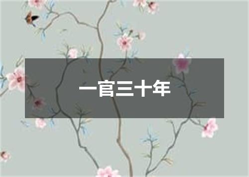 一官三十年