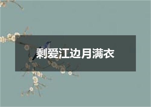 剩爱江边月满衣