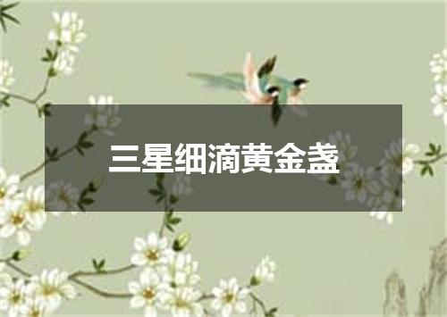 三星细滴黄金盏