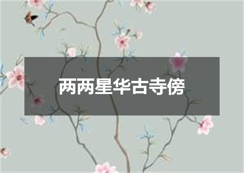 两两星华古寺傍