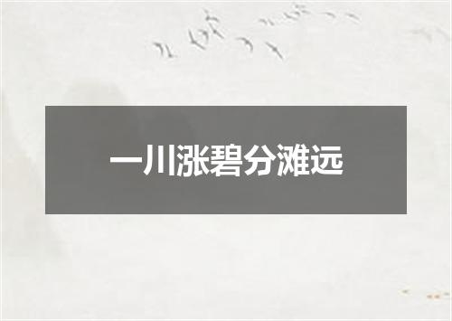 一川涨碧分滩远