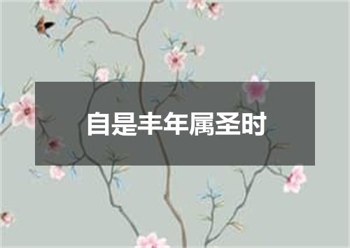 自是丰年属圣时