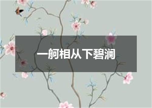 一舸相从下碧澜