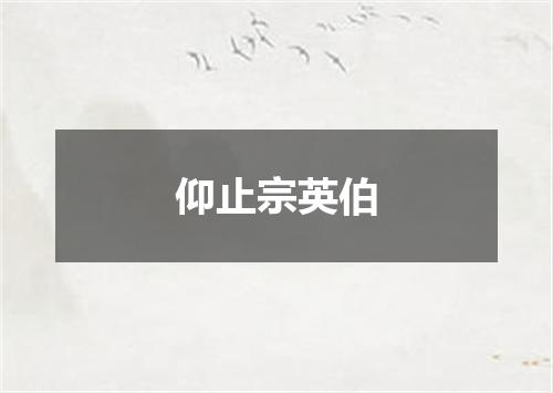 仰止宗英伯