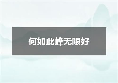 何如此峰无限好