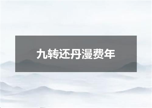 九转还丹漫费年