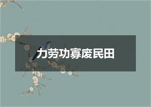 力劳功寡废民田