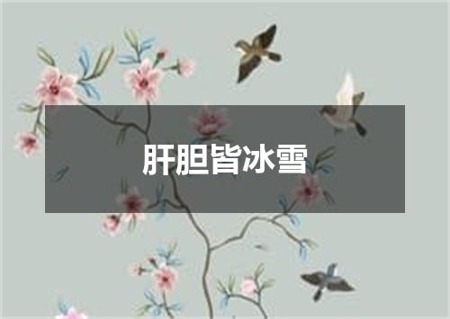 肝胆皆冰雪