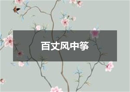 百丈风中筝
