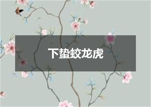 下蛰蛟龙虎