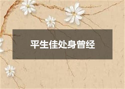平生佳处身曾经