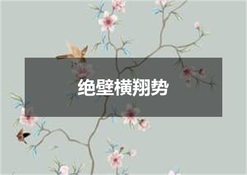 绝壁横翔势