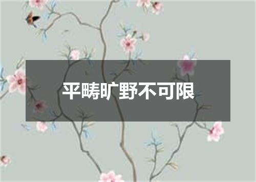 平畴旷野不可限