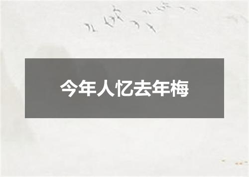 今年人忆去年梅