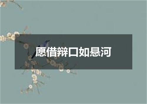 愿借辩口如悬河
