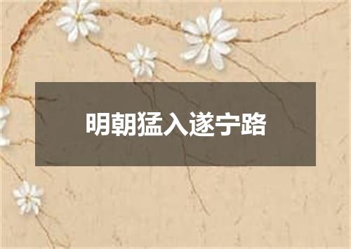 明朝猛入遂宁路