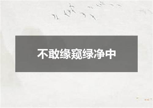 不敢缘窥绿净中
