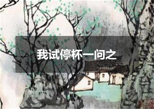 我试停杯一问之