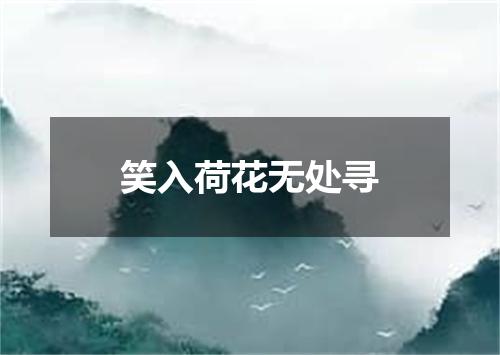 笑入荷花无处寻