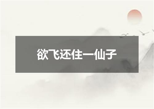 欲飞还住一仙子