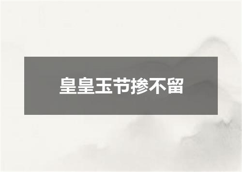 皇皇玉节掺不留