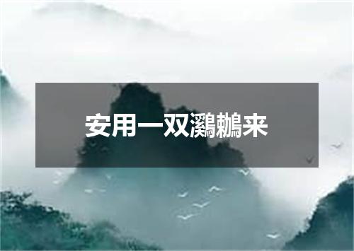 安用一双鸂鶒来