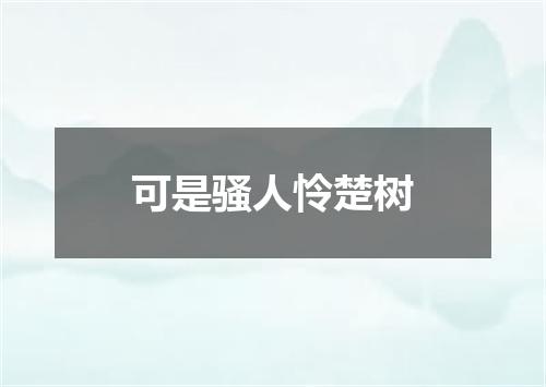 可是骚人怜楚树