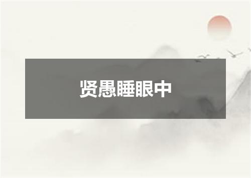 贤愚睡眼中
