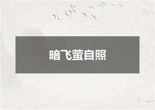 暗飞萤自照