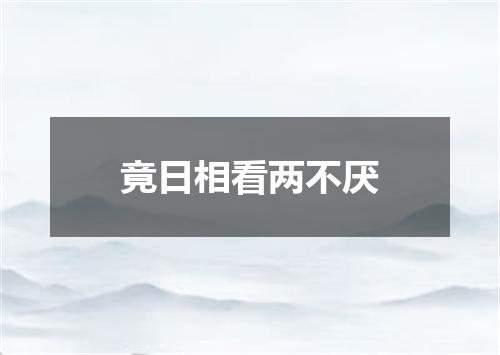 竟日相看两不厌