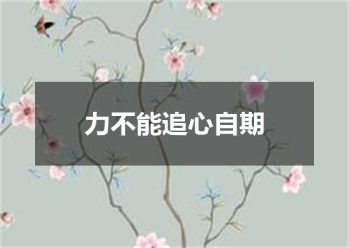 力不能追心自期