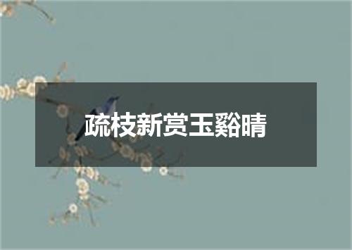 疏枝新赏玉谿晴