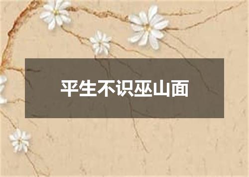 平生不识巫山面