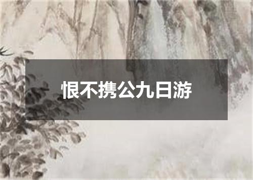 恨不携公九日游