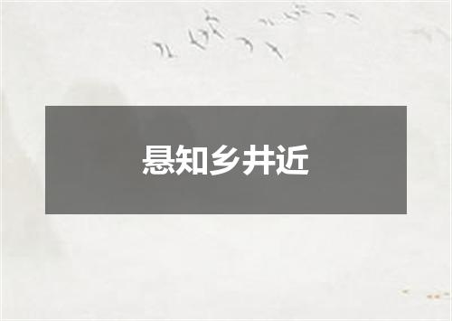 悬知乡井近