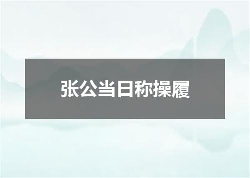 张公当日称操履