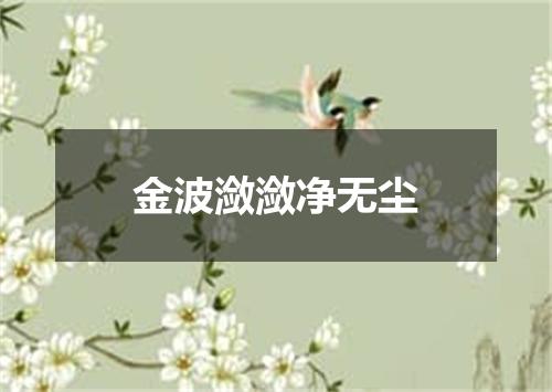 金波潋潋净无尘