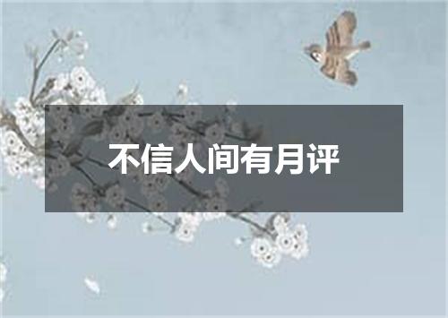 不信人间有月评