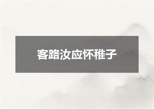 客路汝应怀稚子