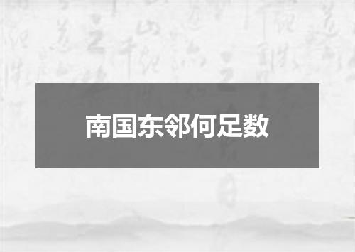 南国东邻何足数