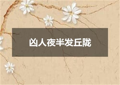 凶人夜半发丘陇