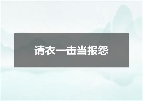 请衣一击当报怨