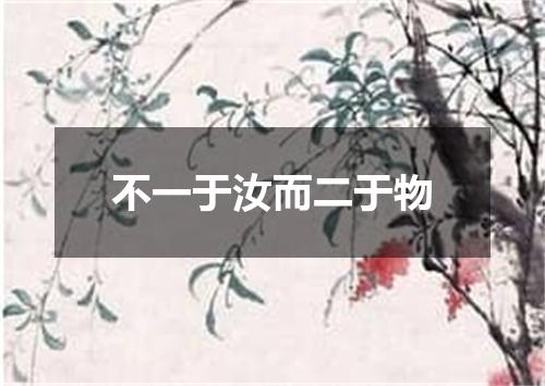 不一于汝而二于物